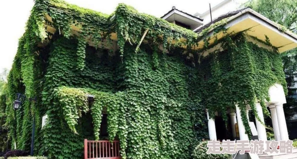 男闺蜜下面硬了叫我帮他，这种情况真让人尴尬，不知道该怎么处理才好