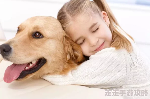 奶妈贵宾网最新宠物护理技巧分享让您的爱宠更加健康快乐