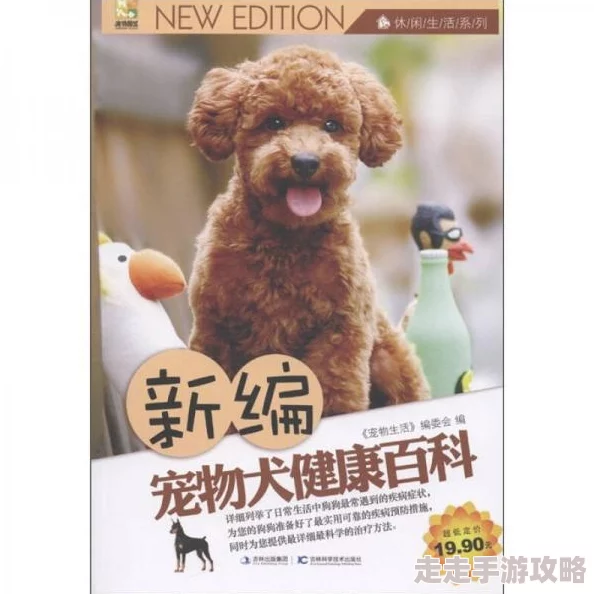 奶妈贵宾网最新宠物护理技巧分享让您的爱宠更加健康快乐