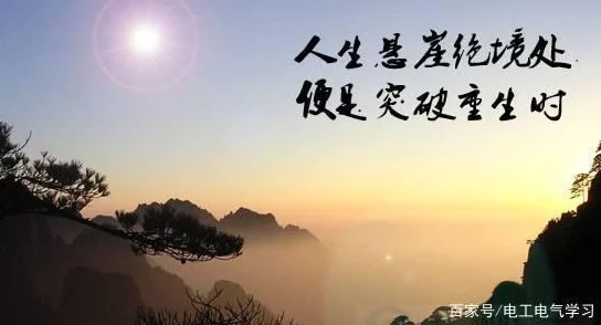 官路风流小说积极向上勇敢追梦成就人生精彩